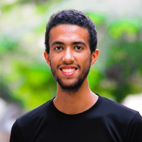 Hady Walied